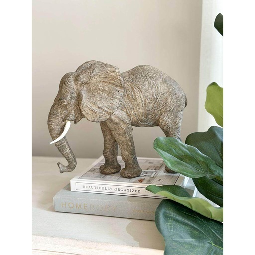 [73637] Elefante Dumbo