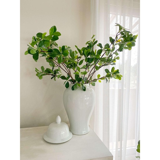 [AV69774] Ginger Jar Blanco Alto