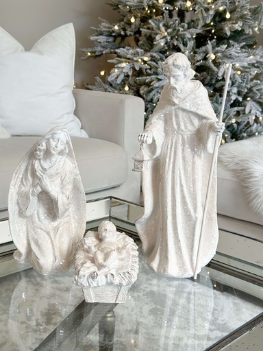 [50882A] Nacimiento escarchado