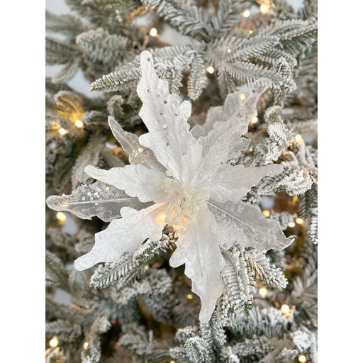 [C0381] Pascua blanca con escarcha