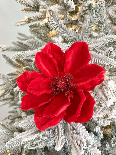 [86186] Rama Magnolia Velvet Roja