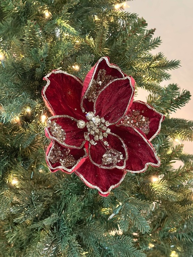 [XF675-BU] Magnolia velvet roja y champagne