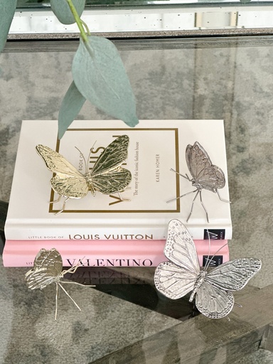 Set de 2 mariposas estilo B