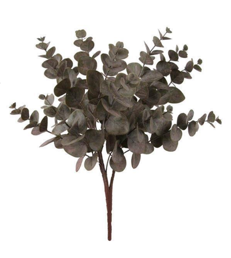 [FG6248A1] Bunch de eucalipto verde otoño