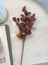 Ramita Naranja quemado