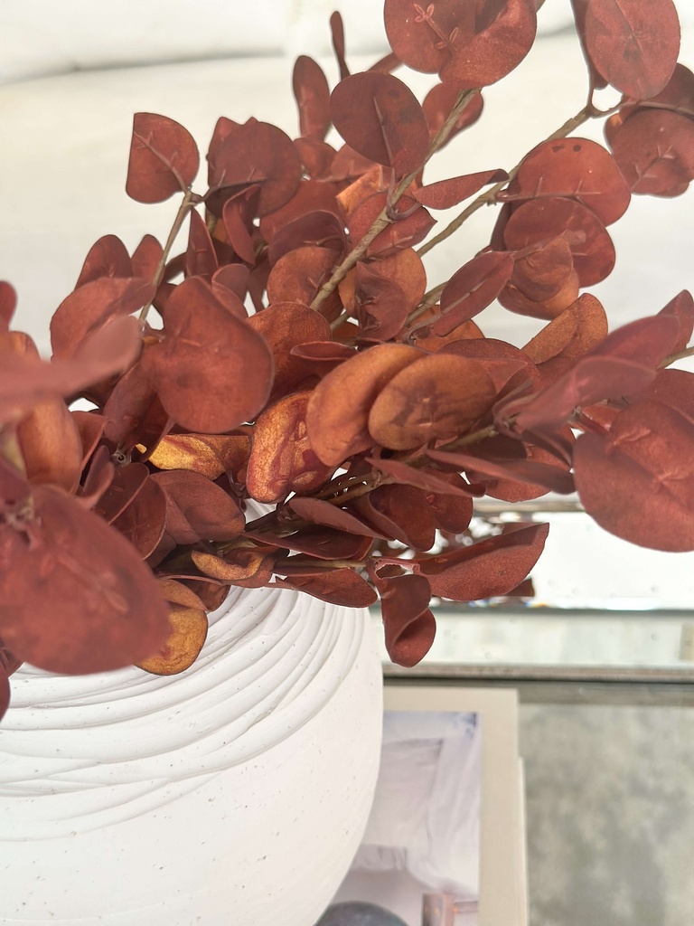 Ramita Naranja quemado