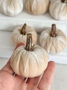 Set de 6 mini pumpkin champagne