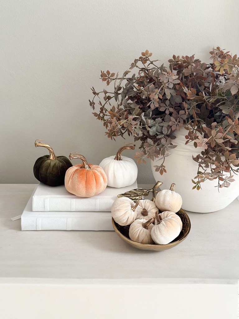 Set de 6 mini pumpkin champagne