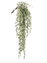 Rama de flocked cedar colgante