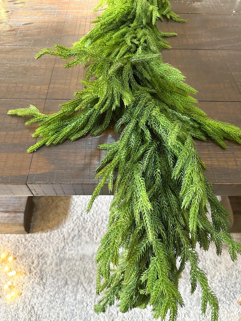 Guirnalda frondosa de pino Norfolk