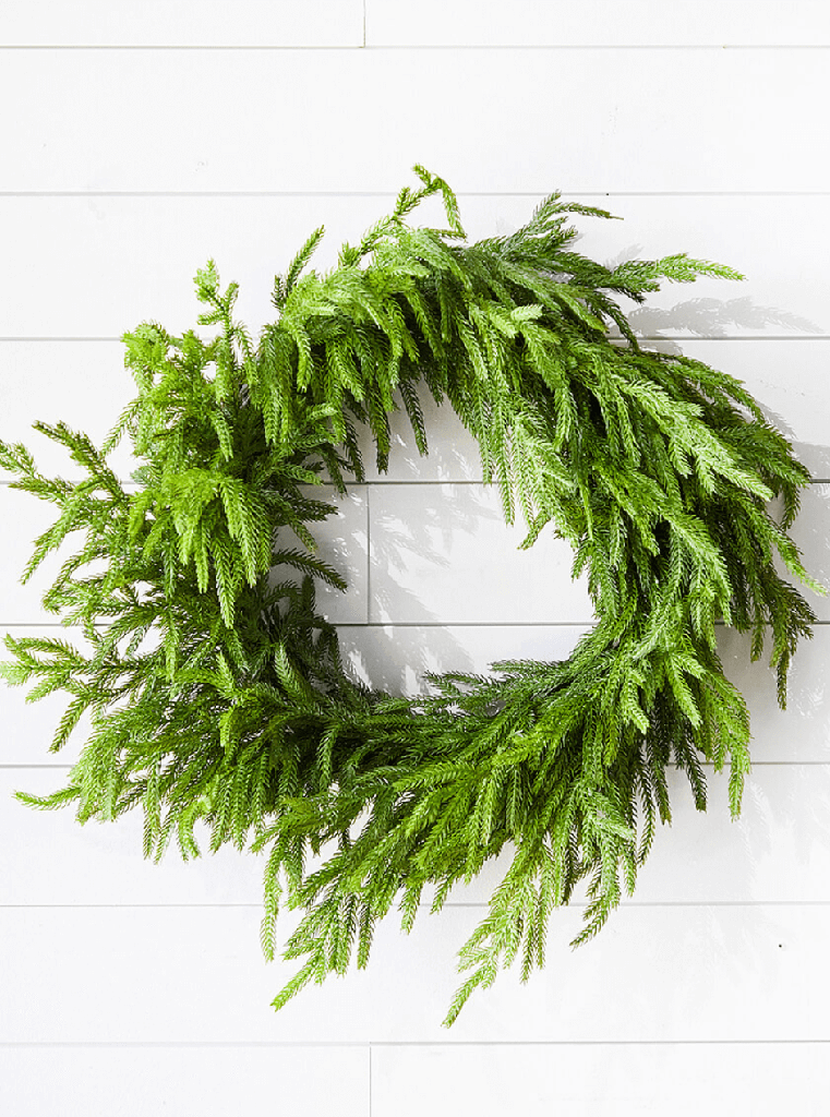 Corona norfolk grande