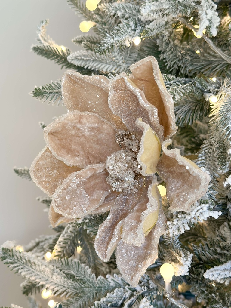 Magnolia velvet champagne piedras transparentes