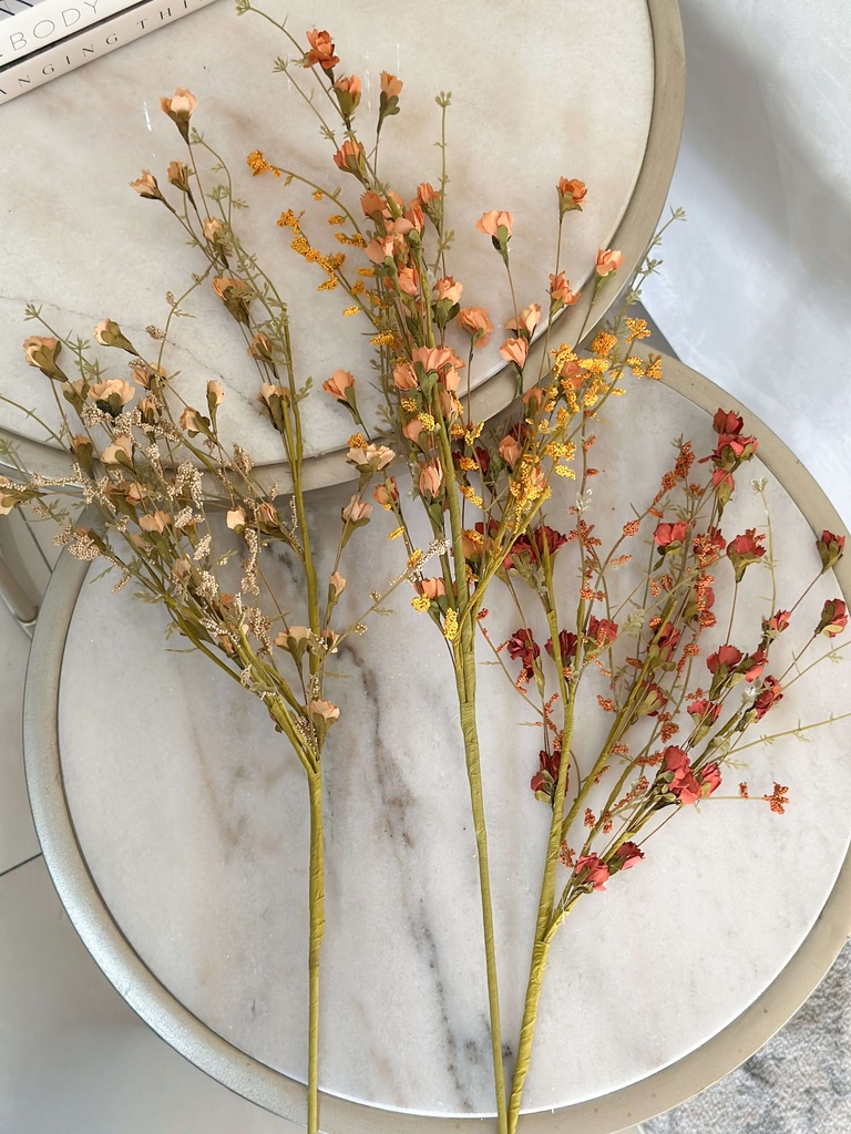Ramas silvestres (3 Colores) | CasaBela