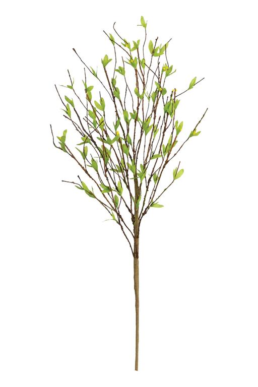 Rama verde con retoño