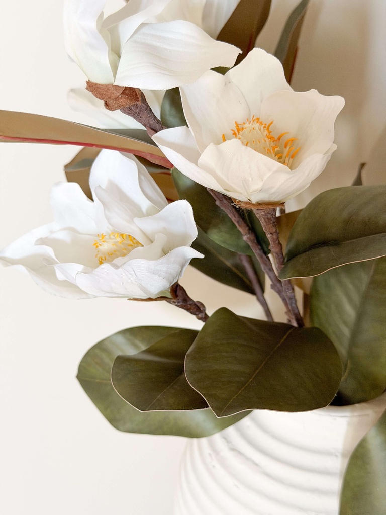 Rama de magnolia con 3 flores