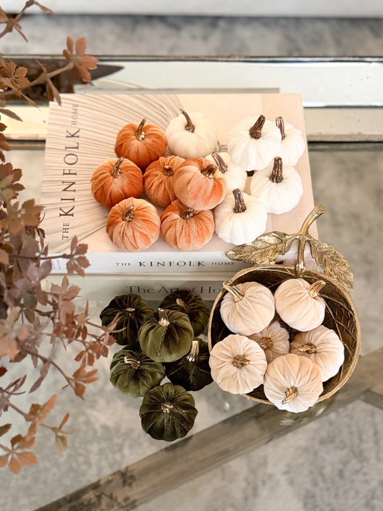 Set de 6 mini pumpkins (4 Opciones)