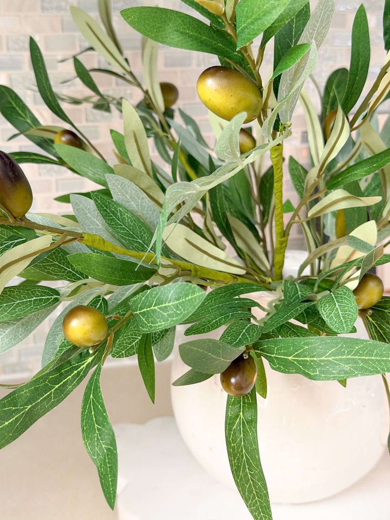 Rama de olivo pequeña con fruto