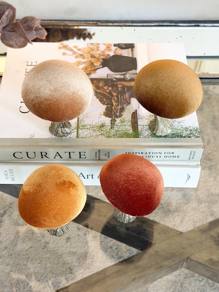 Hongos decorativos velvet (4 colores)