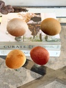 Hongos decorativos velvet (4 colores)