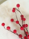 Rama de berrys rojos pequeños congelada