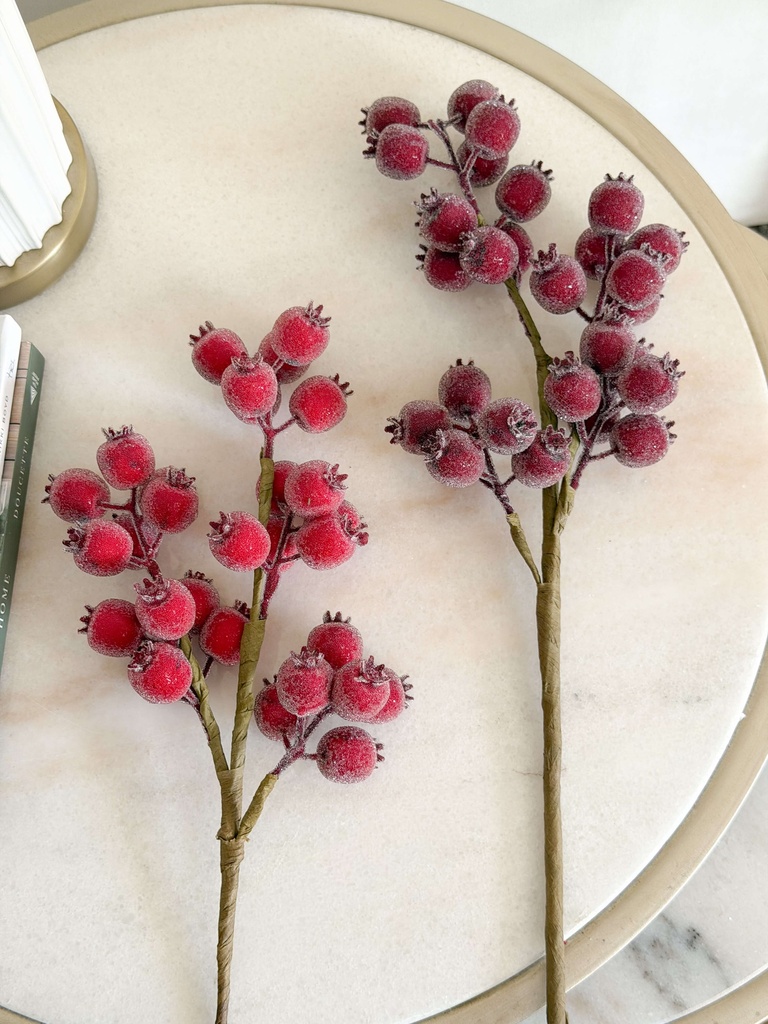 Rama de cranberry congelados (2 Colores)