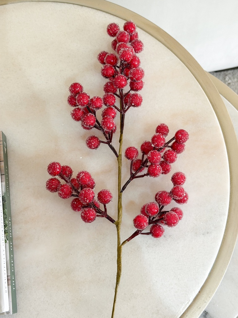 Rama de berries rojas azucaradas