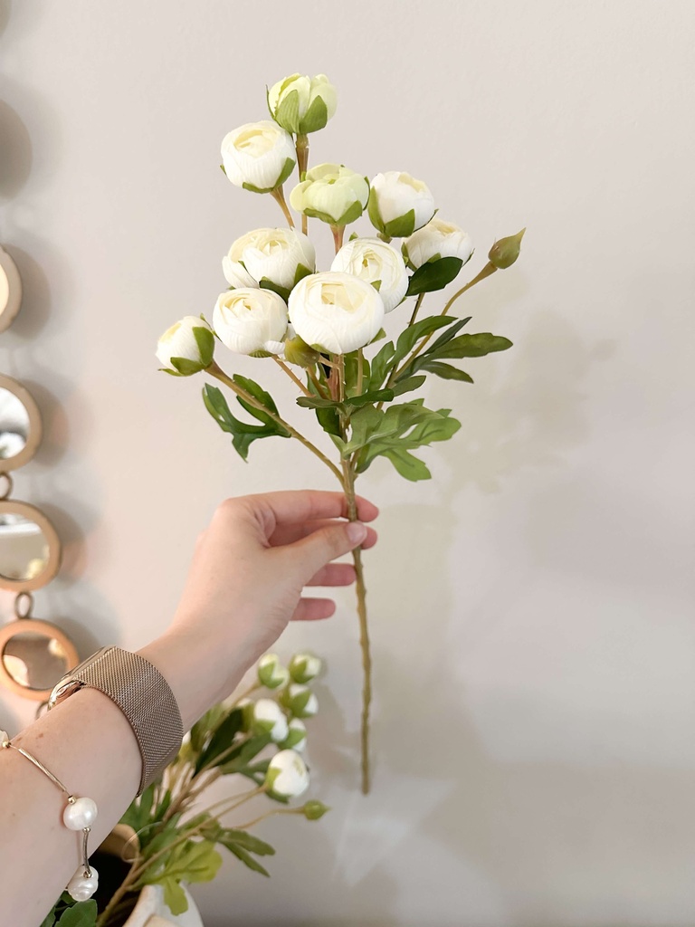 Rama ranunculus blancos con hojas
