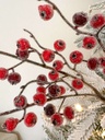 Rama de Berries