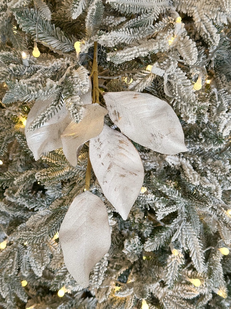 Rama hoja de magnolia nevada y champagne