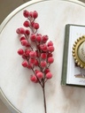 Rama de cranberry roja