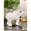 Elefante Blanco