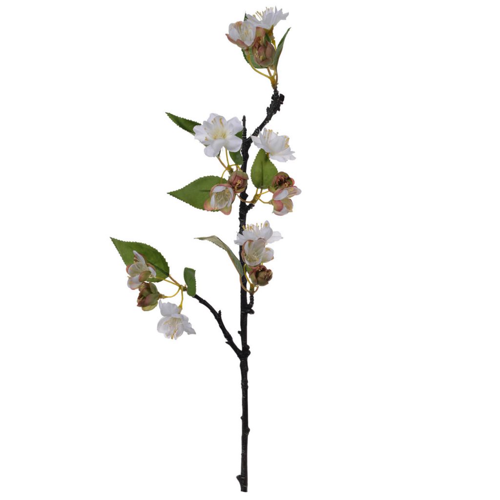 Flor de Manzana