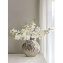 Mini Orquidea con 3 ramas