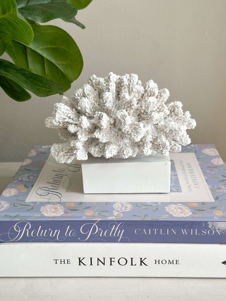 Pieza de coral blanco decorativo