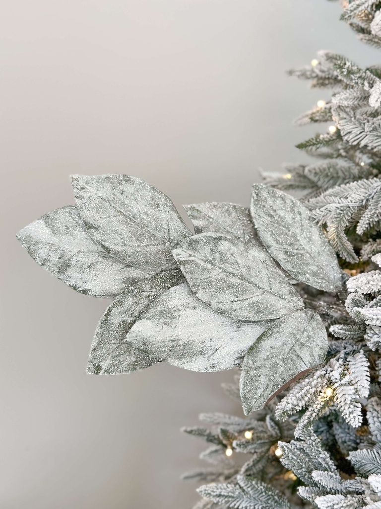 Rama Hoja de Magnolia Nevada