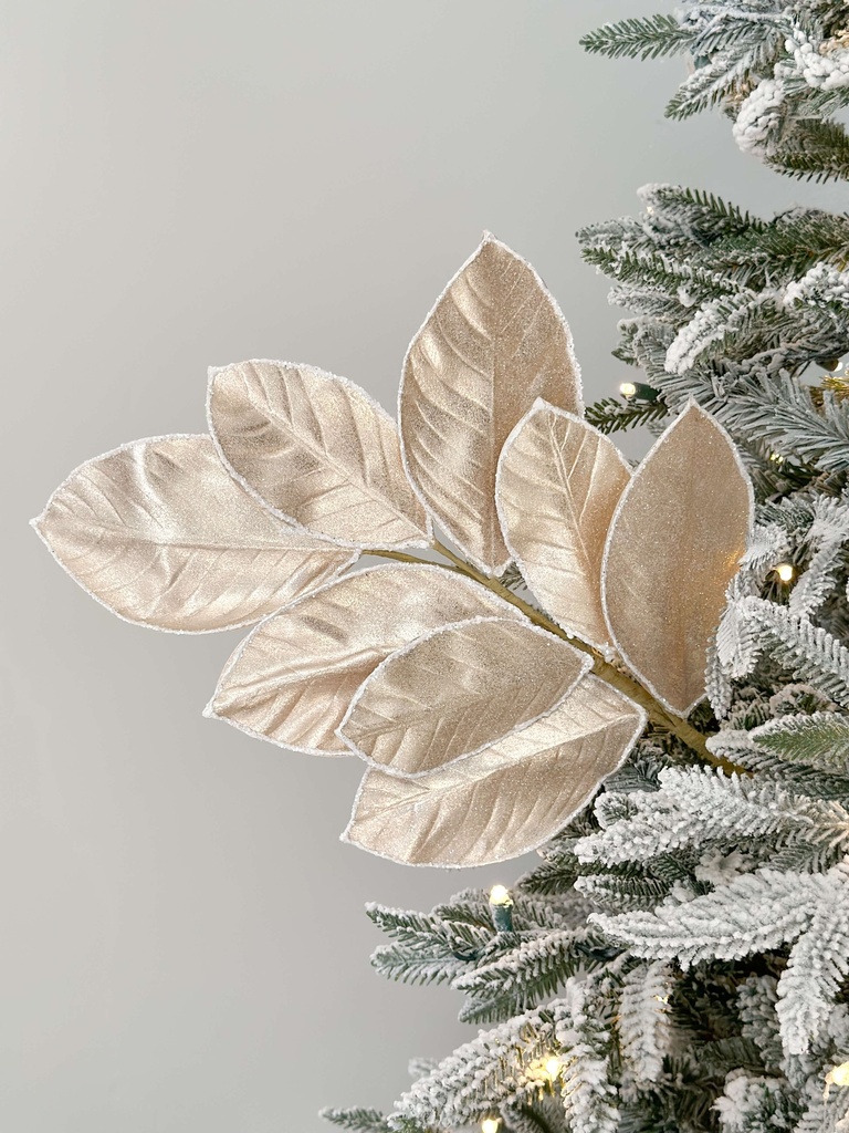 Rama hoja de magnolia orilla nevada