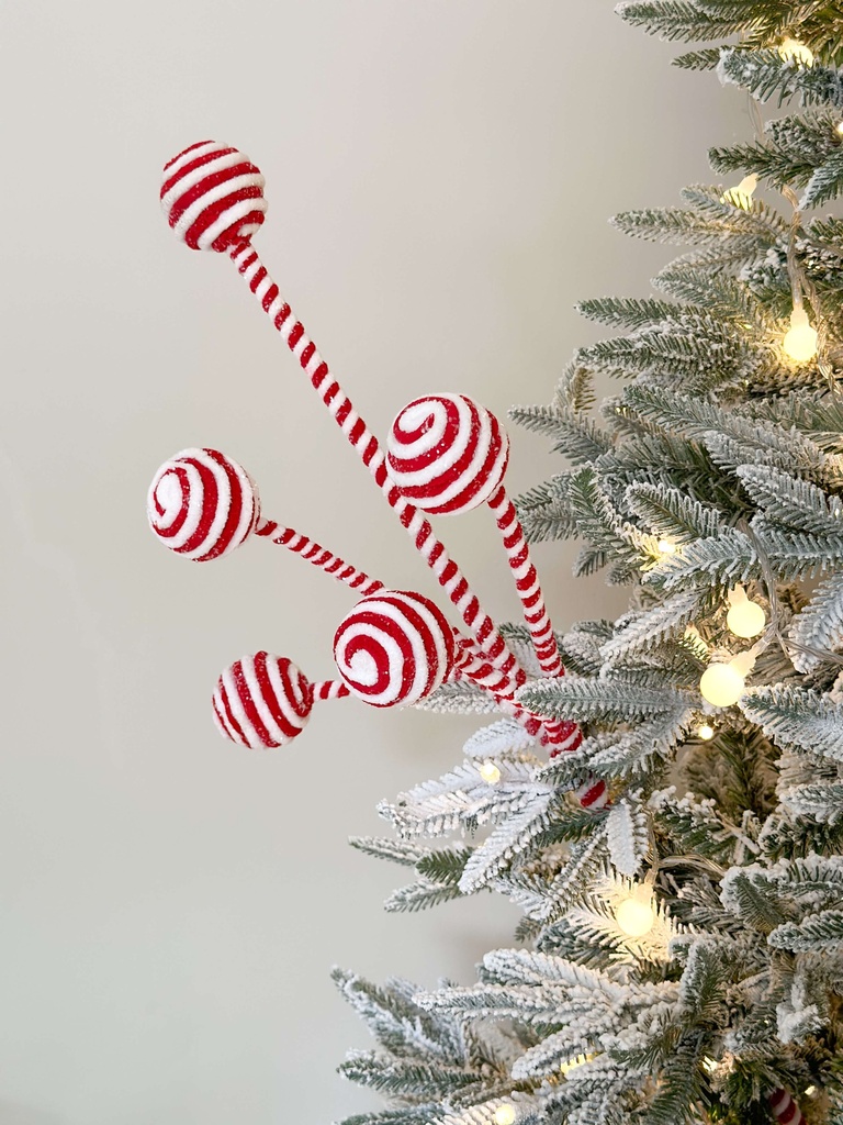 Rama roja y blanca escarchada