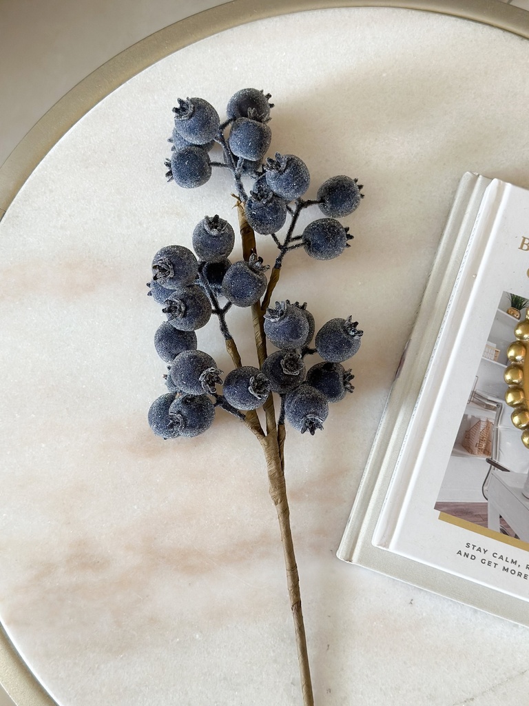 Rama de cranberry azul