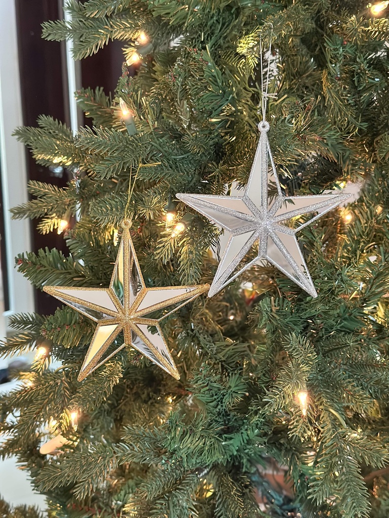 Ornamento estrella espejada escarchada (2 Colores)