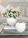 Bases Blancas Johana (2 Opciones)
