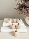 Set de 6 mini pumpkin champagne