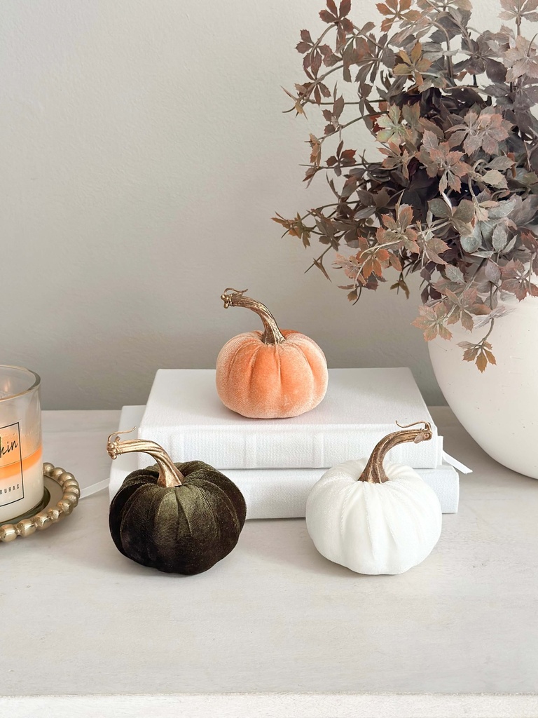 Velvet pumpkins tallo dorado (4 colores)