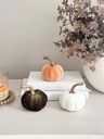 Velvet pumpkins tallo dorado (4 colores)