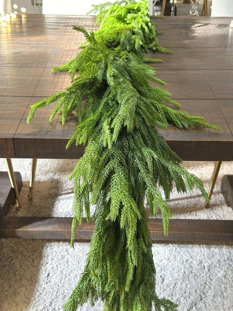 Guirnalda frondosa de pino Norfolk