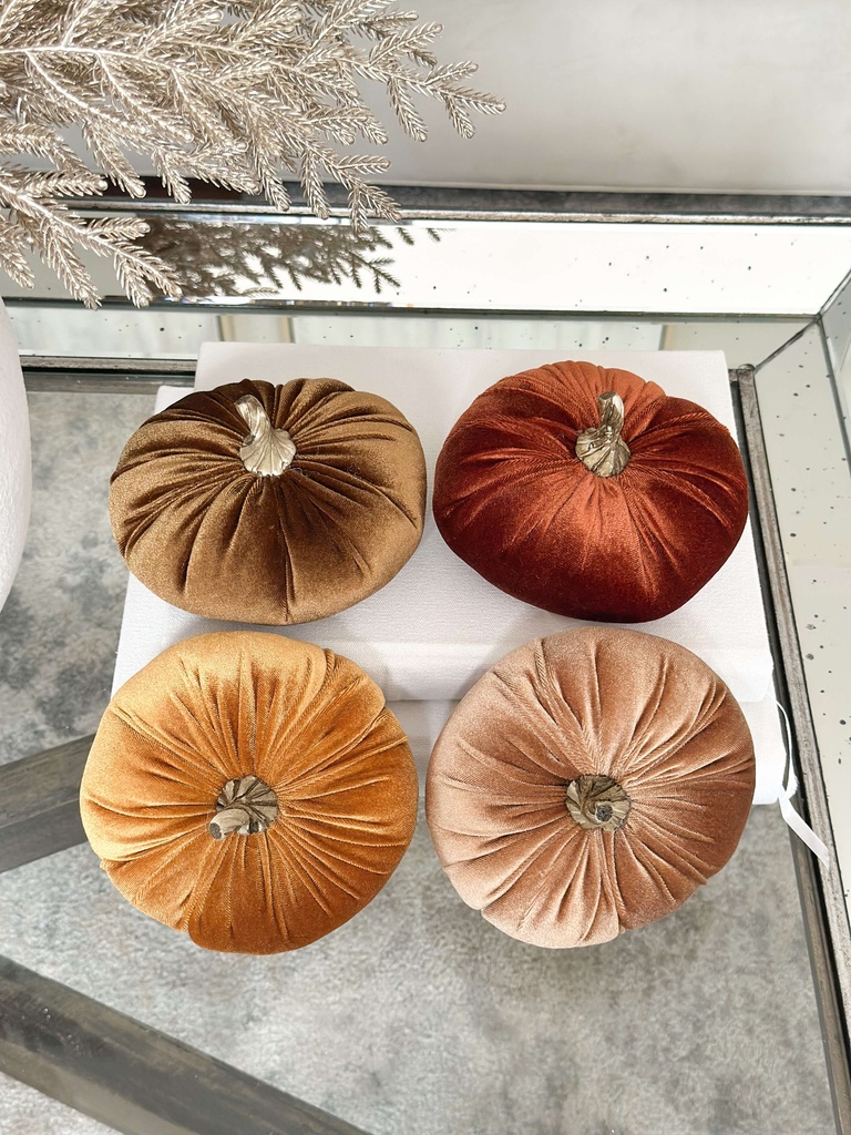 Pumpkins velvet (4 Colores)