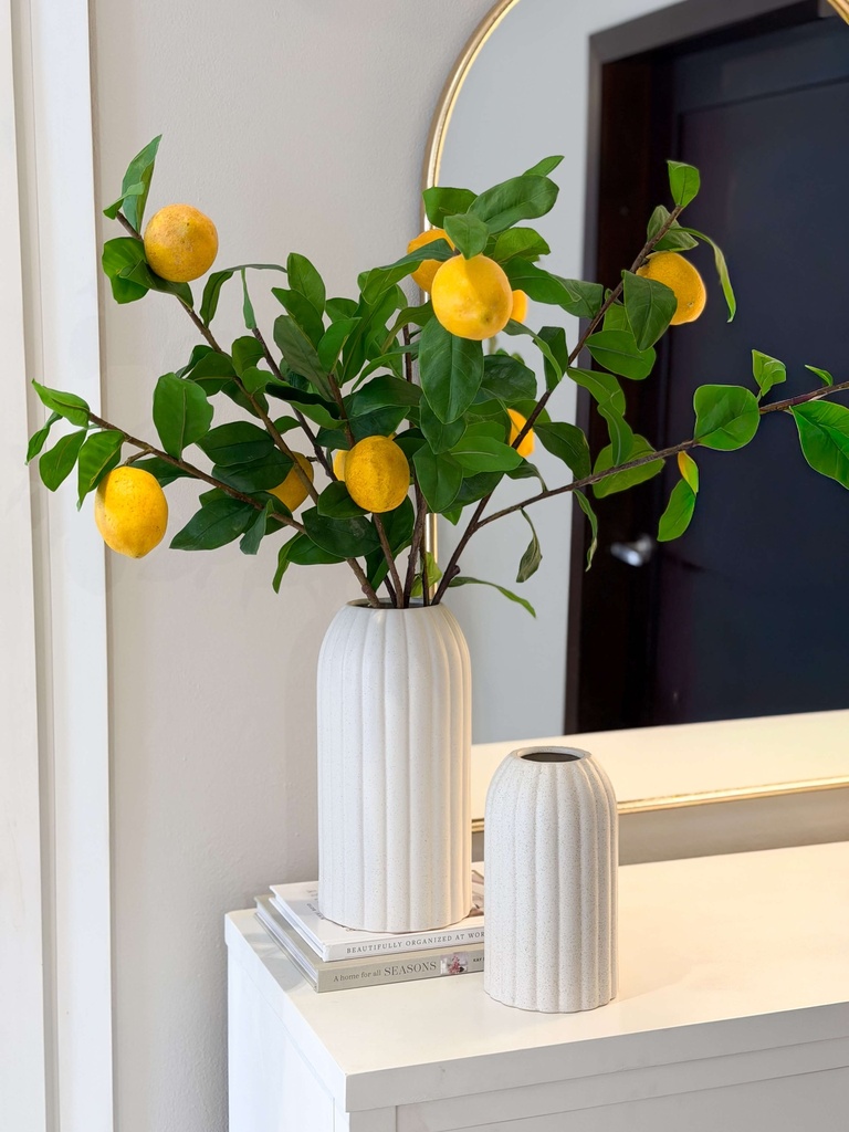 Bases blacas Cassandra (2 Tamaños)