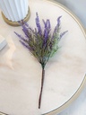 Rama de lavanda pequeña