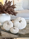 Ivory Velvet Pumpkins (3 tamaños)