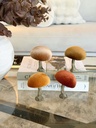 Hongos decorativos velvet (4 colores)