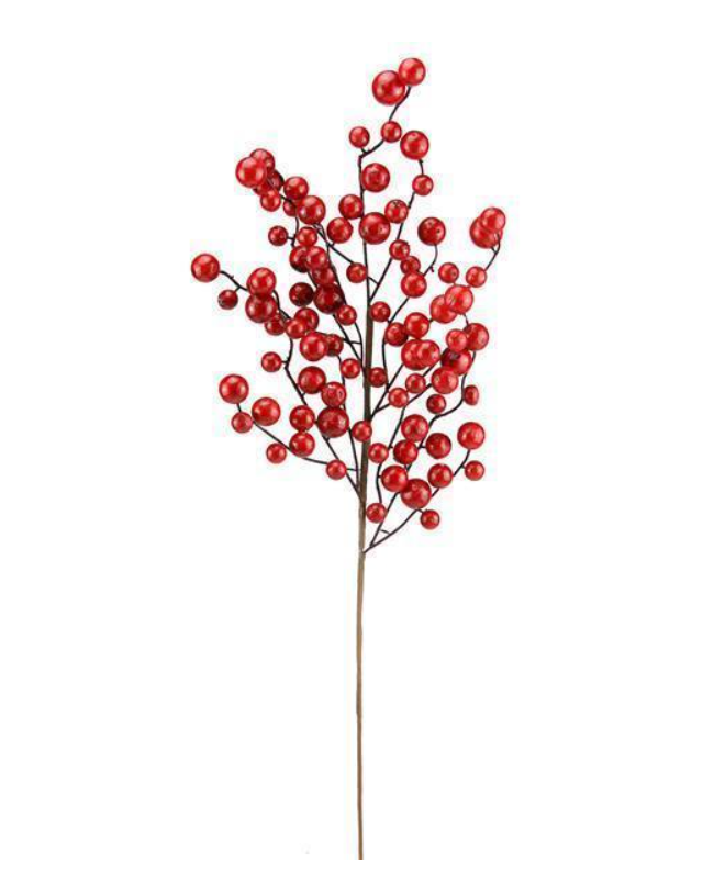 Rama de berries rojos brillantes